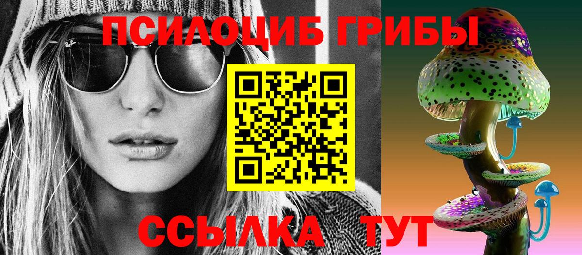 закладка  Псилоцибиновые грибы Psilocybe  Вход с VPN  Георгиевск 