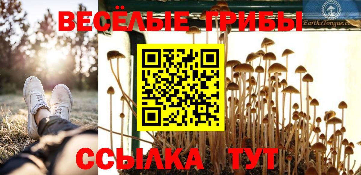 Псилоцибиновые грибы мухоморы Георгиевск
